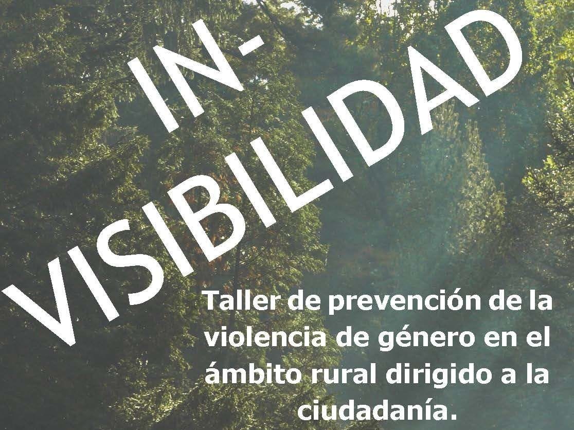 In-Visibilidad – prevención de la violencia de género