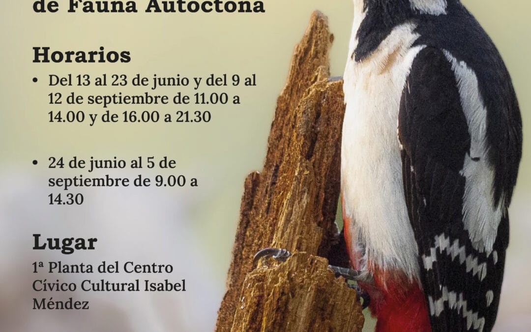 EXPOSICIÓN FOTOGRÁFICA EN EL C.C.C Isabel Méndez