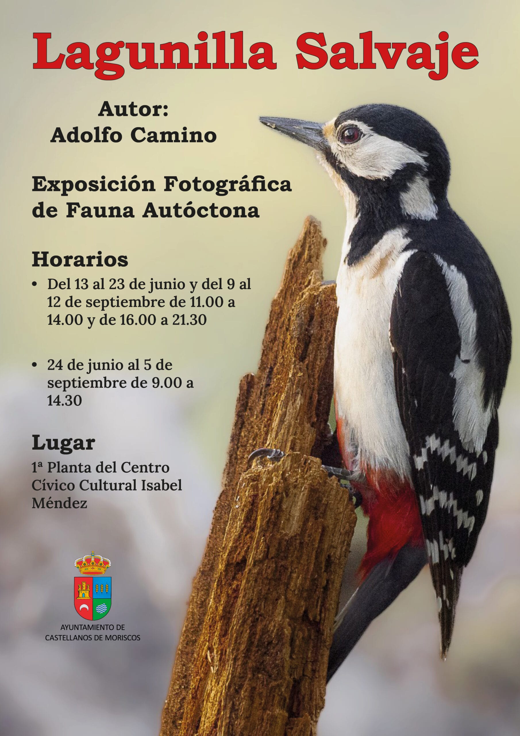 EXPOSICIÓN FOTOGRÁFICA EN EL C.C.C Isabel Méndez