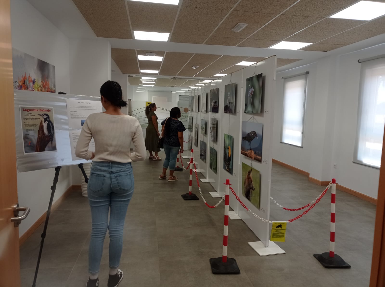 Exposición Lagunilla Salvaje