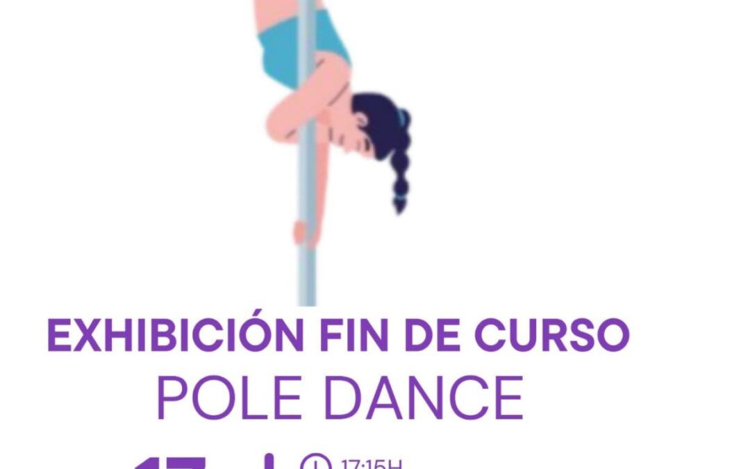 EXHIBICIÓN POLE DANCE