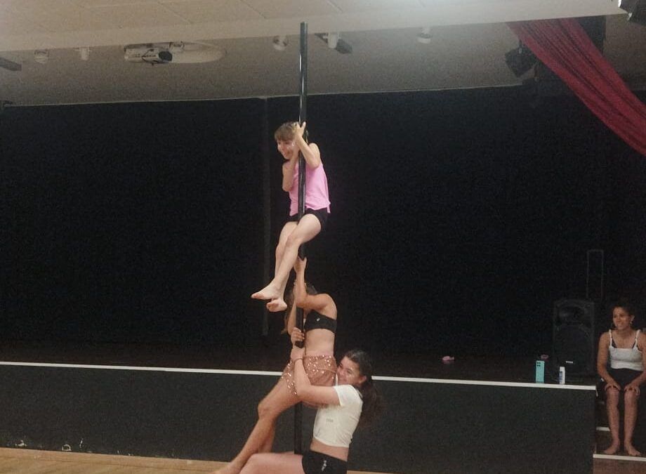 Exhibición de Pole Dance