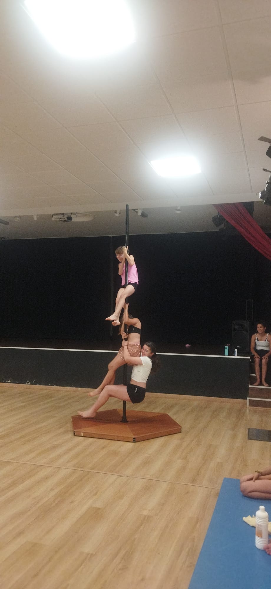 Exhibición de Pole Dance